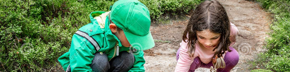 Image of two children looking at bugs