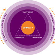 The curiosity triangle.