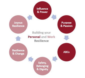 Foundations Resilience model